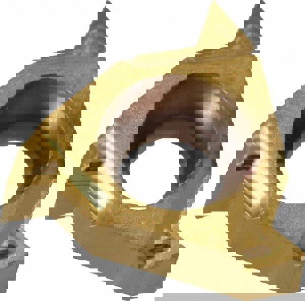 Laydown Threading Insert: 081RMA60 TT8010, Solid Carbide